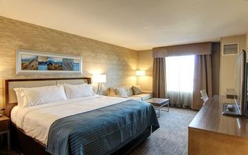 Hotel Express Sw I94 Medical Center, An Ihg